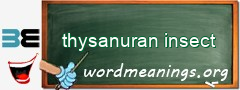WordMeaning blackboard for thysanuran insect